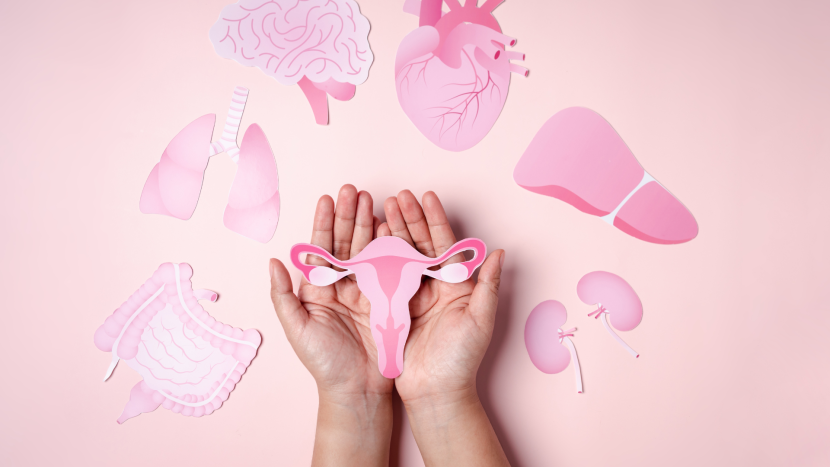 Living with PCOS: Understanding Symptoms, Risks, and Natural Healing Untitled jknd