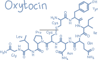 oxytocin happy hormone