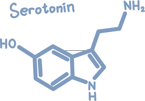 serotonin happy hormone