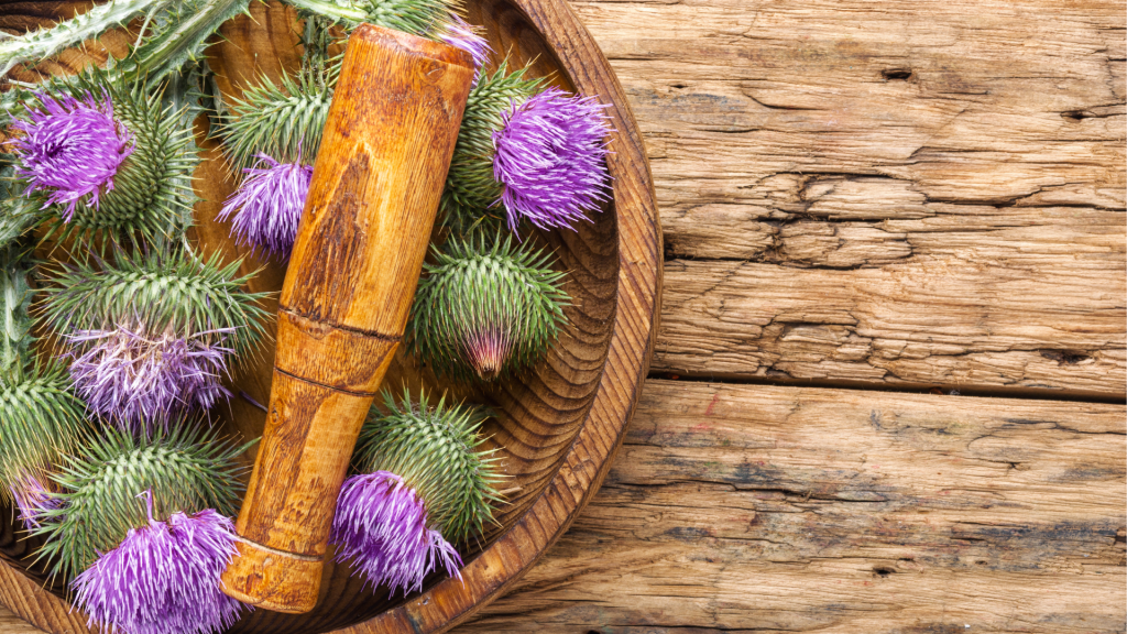 milk thistle