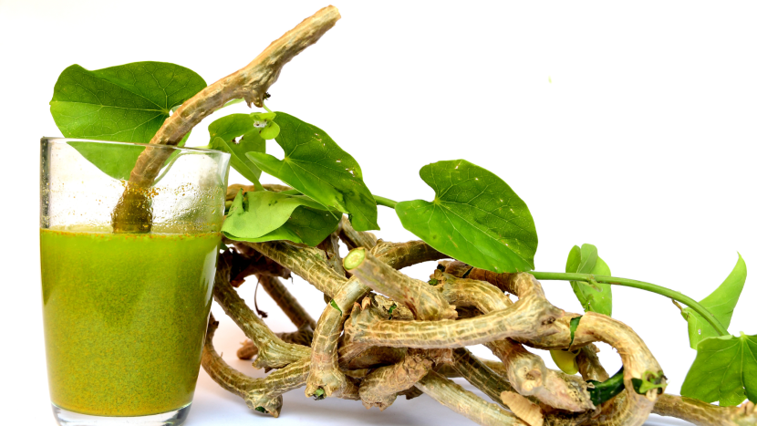 Top 10 Health Benefits Of Giloy: Nature's Ultimate Immunity Booster Giloy