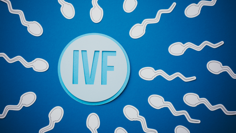 Surviving IVF Fatigue: Wellness Tips to Support Your Body and Mind SSHBSJ