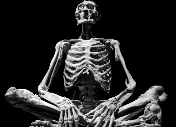 Beyond Calcium: What Your Bones Really Need After 40 egwew