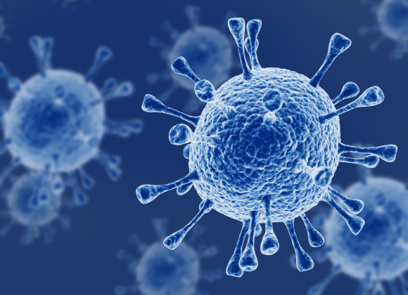 Norovirus: Symptoms, Causes, Prevention, And Effective Treatments jlld