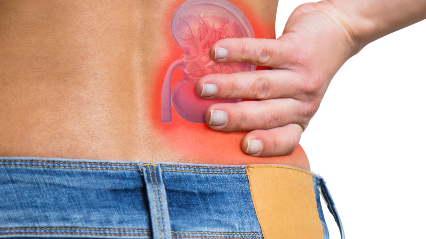 Fatigue to Itchy Skin: 5 Signs of Kidneys Problems jhjbb
