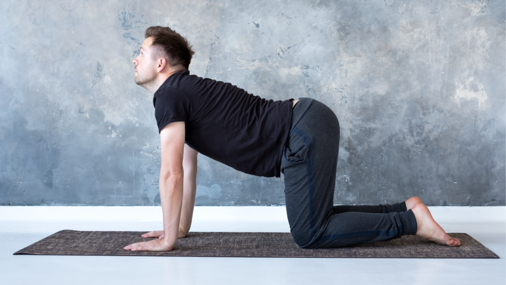 Cat-Cow Stretch (Marjaryasana-Bitilasana)