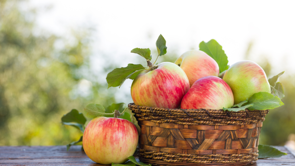 Apples